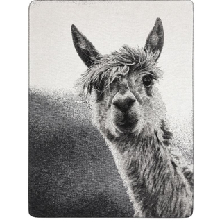 Kinder- und Jugenddecke Animal Love - Pako