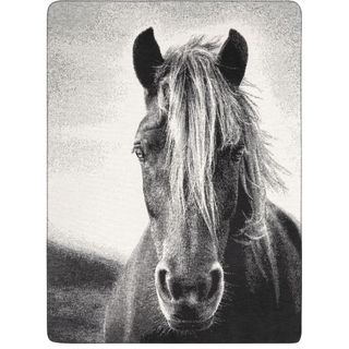 Kinder- und Jugenddecke Animal Love - Silver