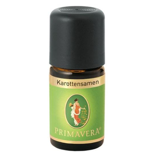 Karottensamen