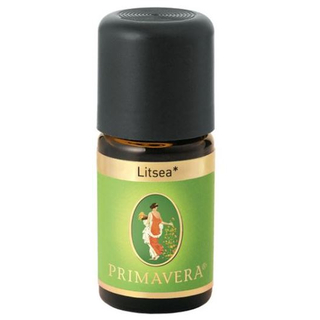 Litsea