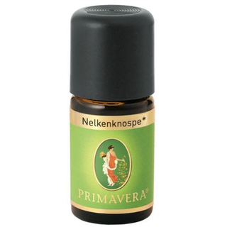 Nelkenknospe