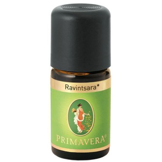 Ravintsara