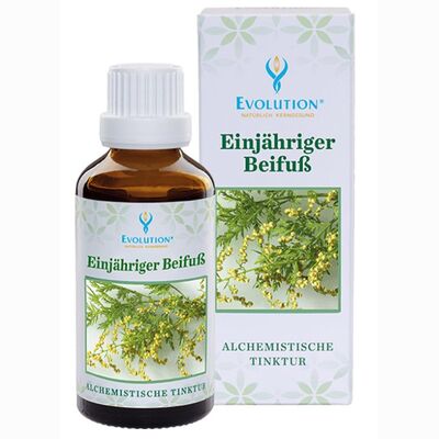 Beifu� Einj�hrig Tinktur