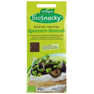 Sprossen-Broccoli Keimsaat